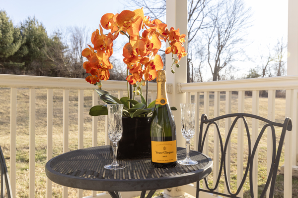 Queen Suite 1st Floor Balcony Photo 2